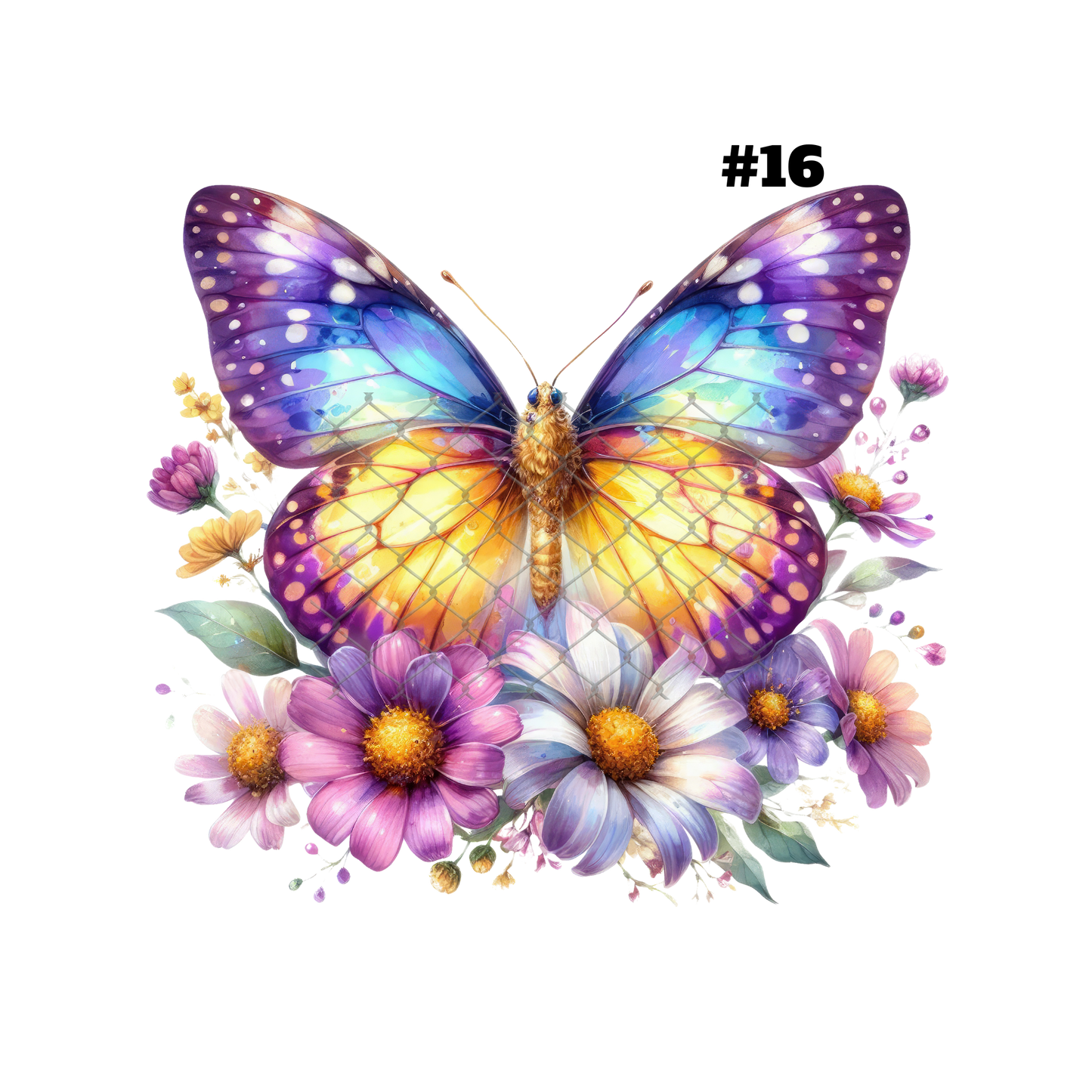 $2 Tuesday ONLY - BUTTERFLY T-Shirt Sublimation Transfers