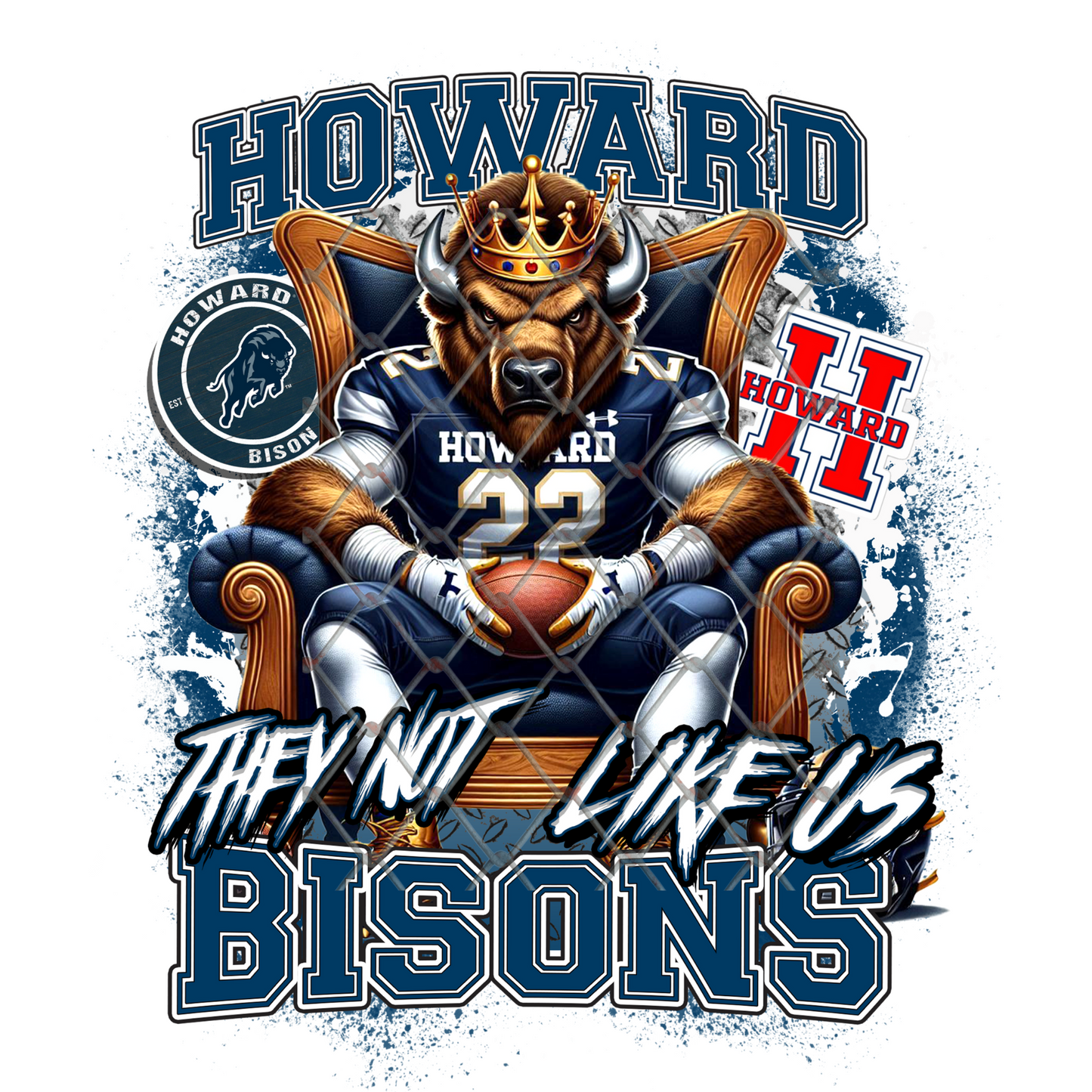 HBCU THEY NOT LIKE US FOOTBALL T-SHIRT TRANSFERS (SUBLIMATION)