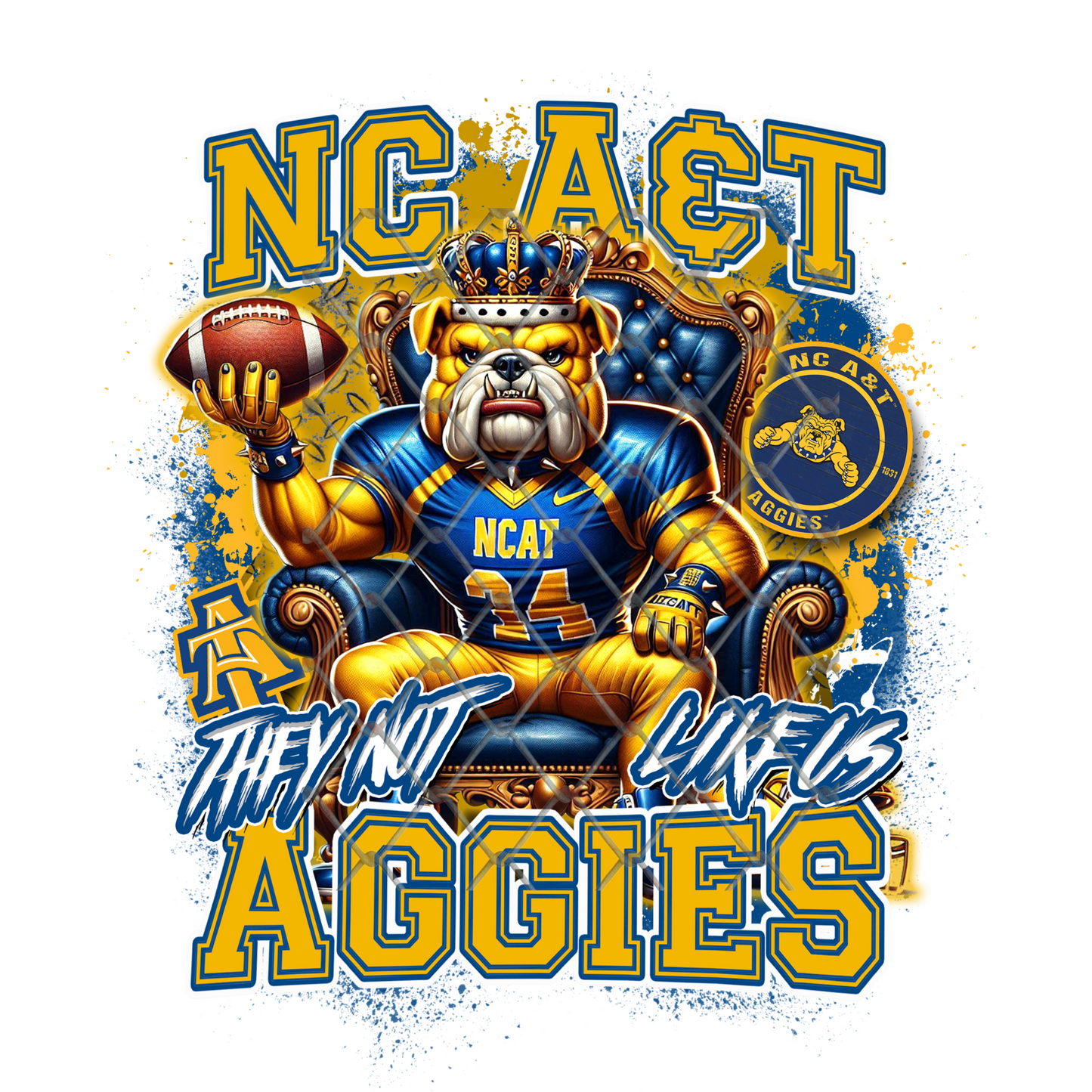 HBCU THEY NOT LIKE US FOOTBALL T-SHIRT TRANSFERS (SUBLIMATION)