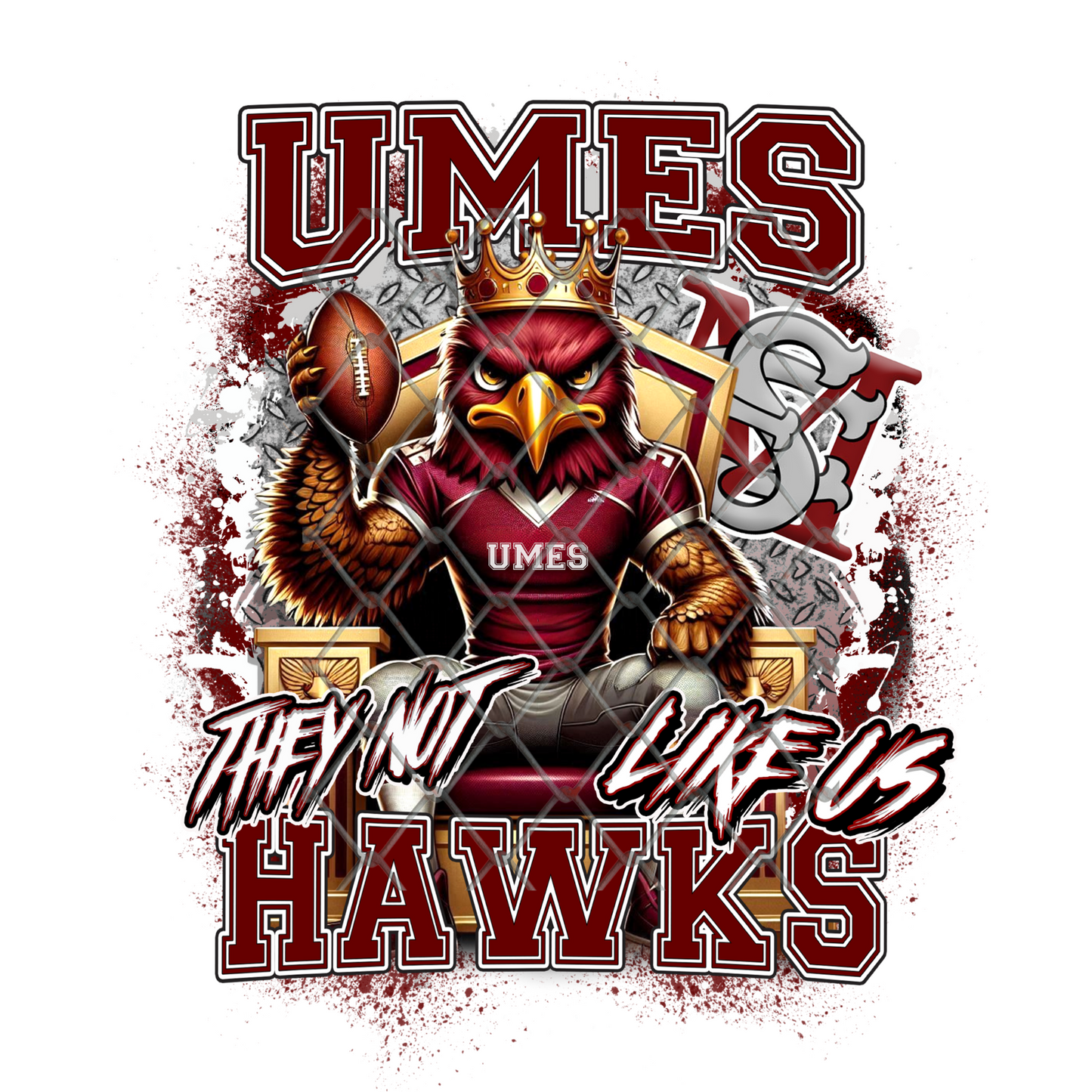 HBCU THEY NOT LIKE US FOOTBALL T-SHIRT TRANSFERS (SUBLIMATION)