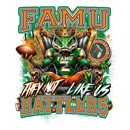 HBCU THEY NOT LIKE US FOOTBALL T-SHIRT TRANSFERS (SUBLIMATION)