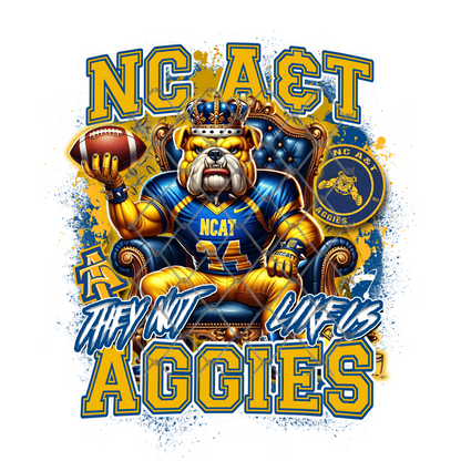HBCU THEY NOT LIKE US FOOTBALL T-SHIRT TRANSFERS (SUBLIMATION)
