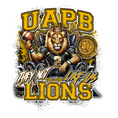 HBCU THEY NOT LIKE US FOOTBALL T-SHIRT TRANSFERS (SUBLIMATION)