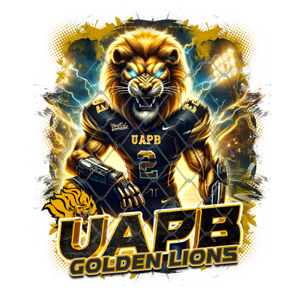 HBCU LIGHTNING FOOTBALL T-SHIRT TRANSFERS (SUBLIMATION)