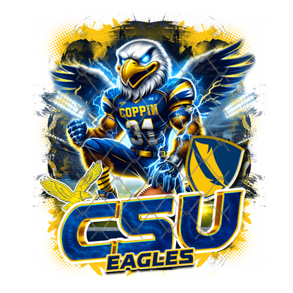HBCU LIGHTNING FOOTBALL T-SHIRT TRANSFERS (SUBLIMATION)