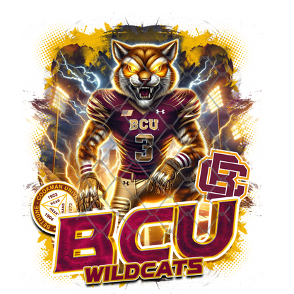 HBCU LIGHTNING FOOTBALL T-SHIRT TRANSFERS (SUBLIMATION)