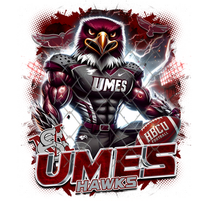 HBCU LIGHTNING FOOTBALL T-SHIRT TRANSFERS (SUBLIMATION)