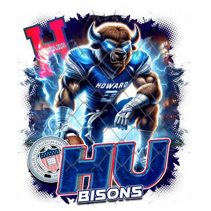 HBCU LIGHTNING FOOTBALL T-SHIRT TRANSFERS (SUBLIMATION)