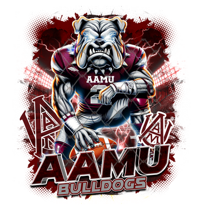 HBCU LIGHTNING FOOTBALL T-SHIRT TRANSFERS (SUBLIMATION)