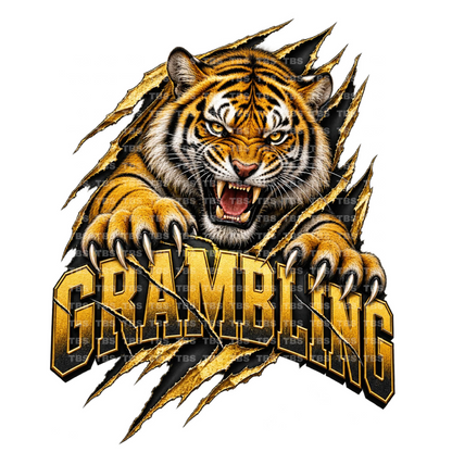 COLLEGE BREAKOUT FOOTBALL T-SHIRT TRANSFERS - (DTF)