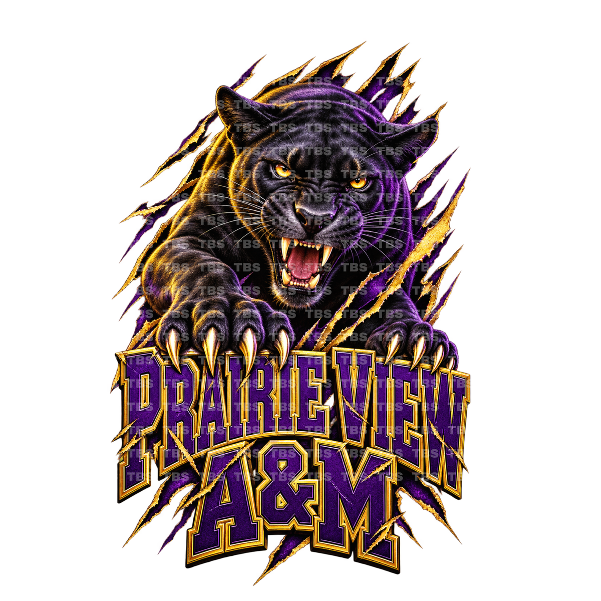 COLLEGE BREAKOUT FOOTBALL T-SHIRT TRANSFERS - (DTF)