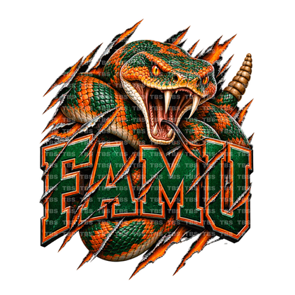 COLLEGE BREAKOUT FOOTBALL T-SHIRT TRANSFERS - (DTF)