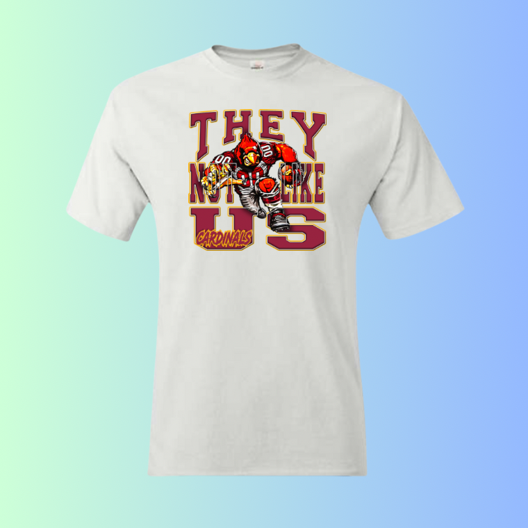 They Not Like Us T-SHIRT TRANSFERS (SUBLIMATION)