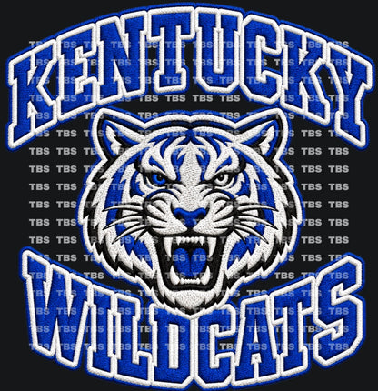 FAUX EMBROIDERY LOOK COLLEGE FOOTBALL T-SHIRT TRANSFERS (SUBLIMATION) - Wholesale